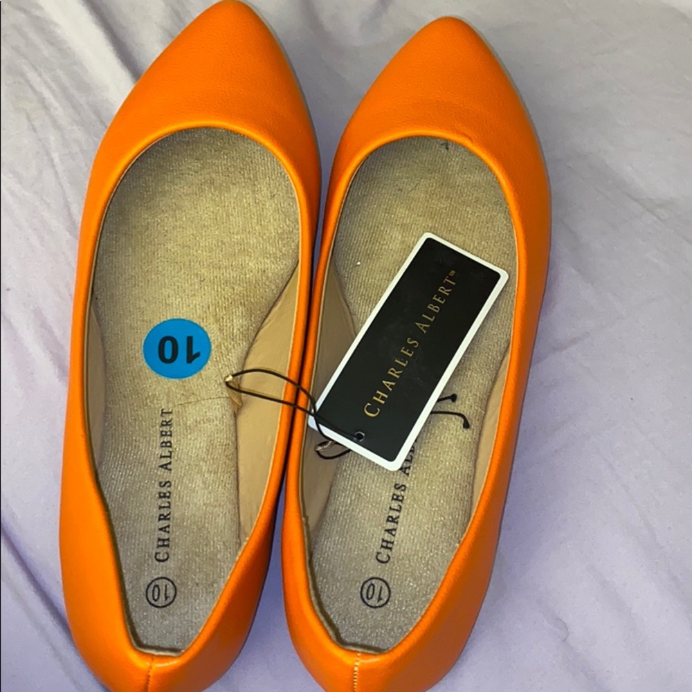 Brand New Flats